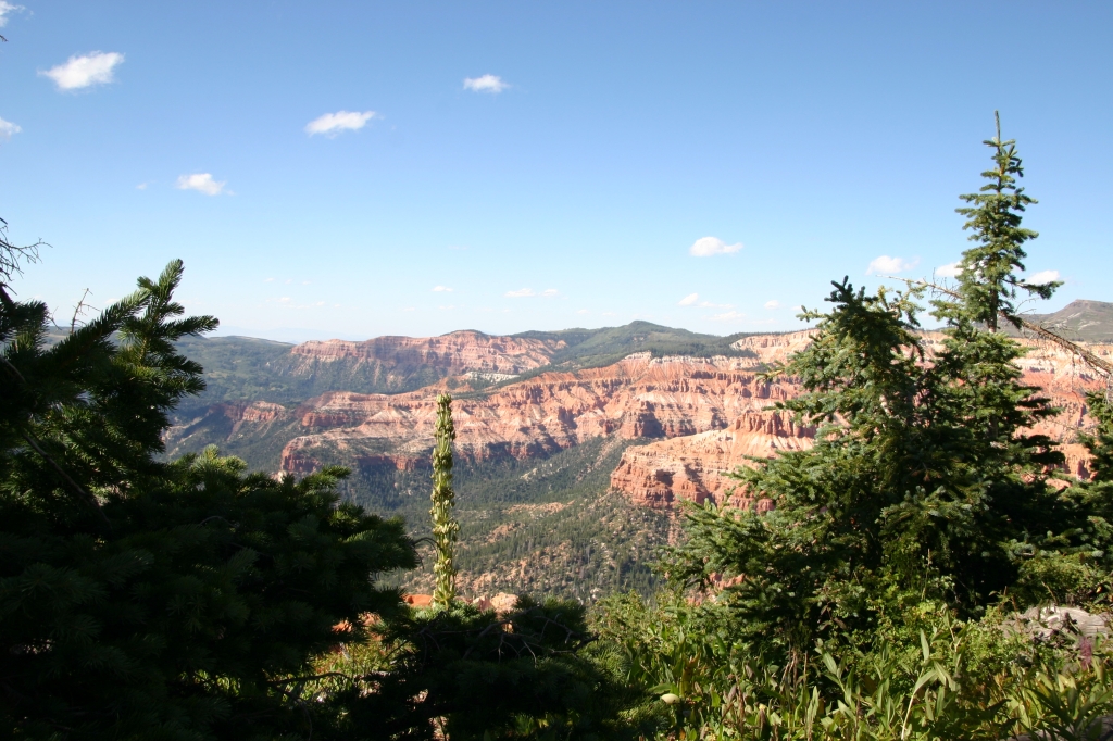 04 - Cedar Break (4).JPG